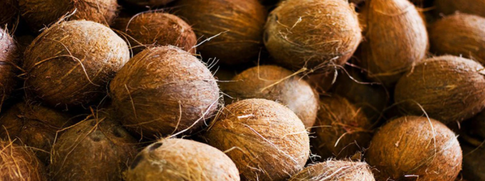 CAA raids traders selling coconuts above MRP; State Minister to address measuring issue