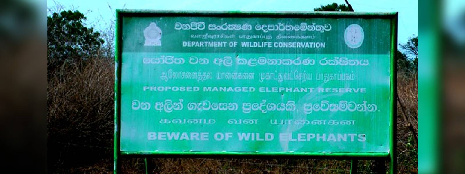 Managed elephant reserve project in Hambantota riddled in delays