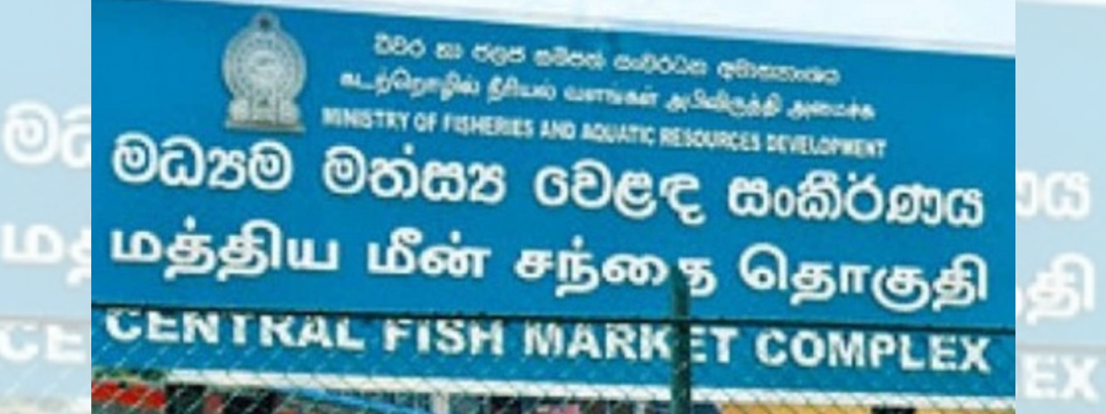 Operations at Peliyagoda Fish Market to resume once Health Ministry gives the go-ahead