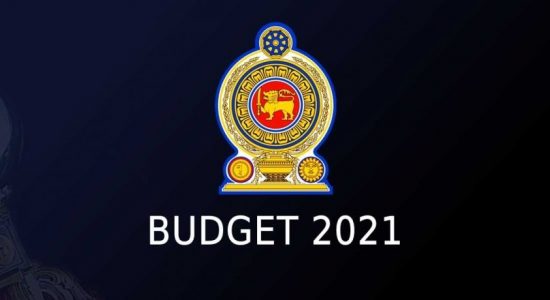 2nd reading of 2021 Budget passed with a majority