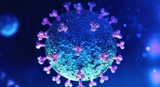 Concerns raised over antigen test kits