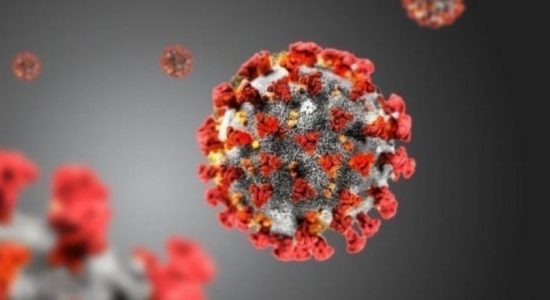 COVID-19 cases on the rise