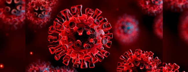 371 COVID-19 cases reported from Colombo on Monday