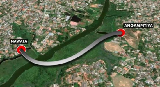Development project places Nawala wetland at risk