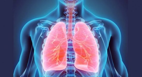 OVER 40% TB CASES IN WP, COLOMBO RECORDS 23%