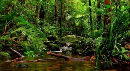 NON-WILDLIFE LANDS TO BE TRANSFERRED