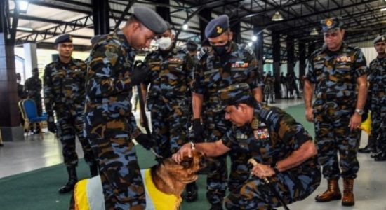 Passing Out Parade for newly inducted SLAF Air Dogs