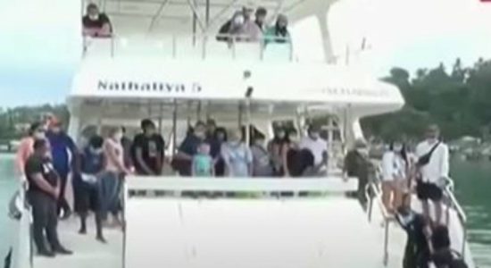 Ukrainian tourists engage in whale watching