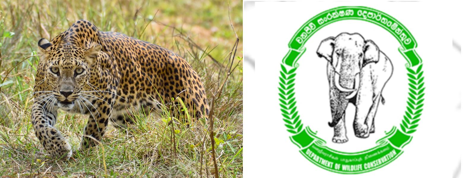 OPERATION LAUNCHED TO LOCATE VIOLENT LEOPARD