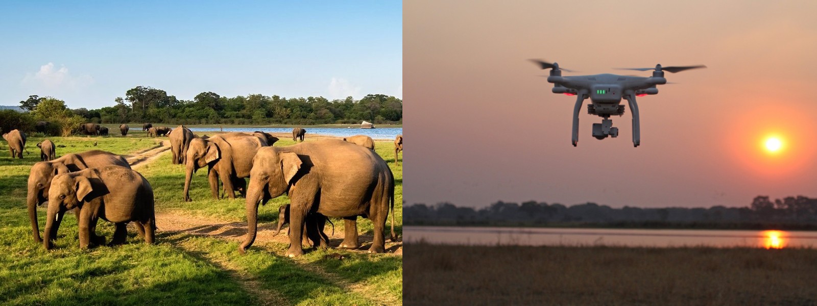 DRONE TECHNOLOGY TO CHASE ELEPHANTS