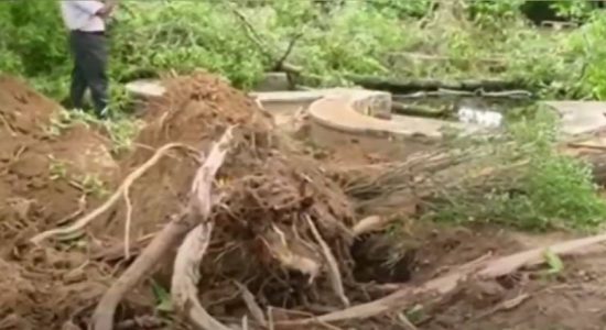 Environmental destruction hits Rajapihilla Park