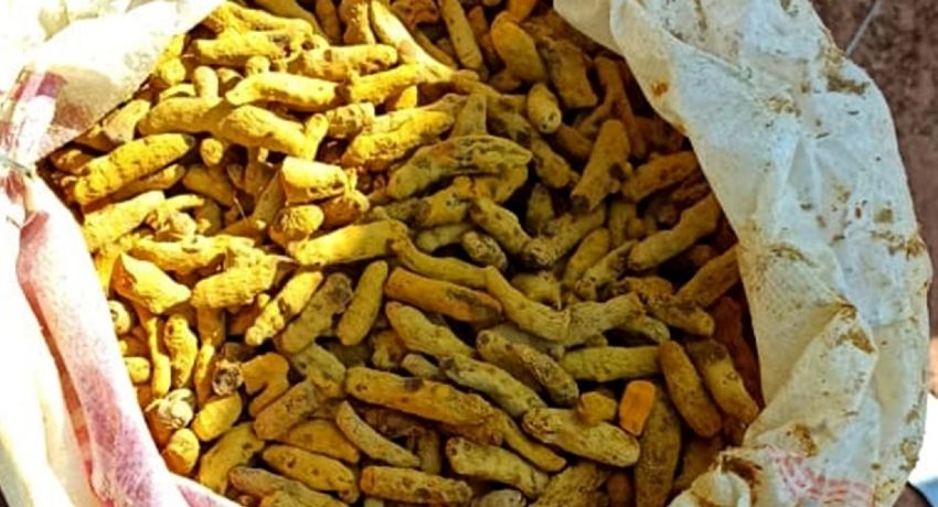 1340kg of smuggled turmeric seized by Navy