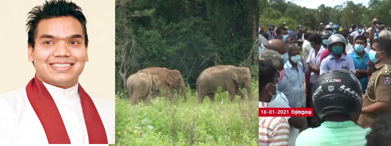 Wild Elephant Management Reserve will be gazetted