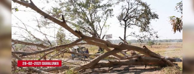 Dairy farmers in Rambakan Oya crippled due to forest destruction