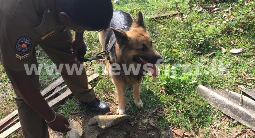(PICTURES) Rocky leads cops to heroin hiding spot in Weligama
