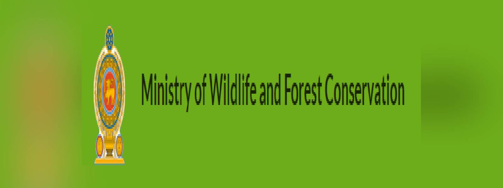 Island-wide survey on Protected Flora and Fauna