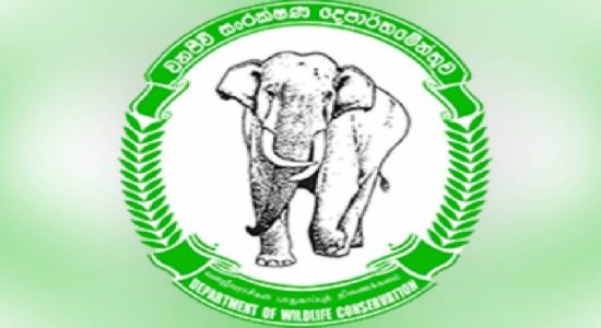 NO permission to destroy Protected Plant Species