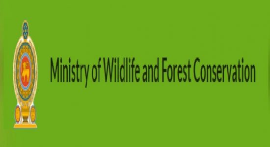 Island-wide survey on Protected Flora and Fauna