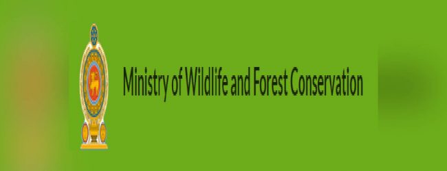 Island-wide survey on Protected Flora and Fauna