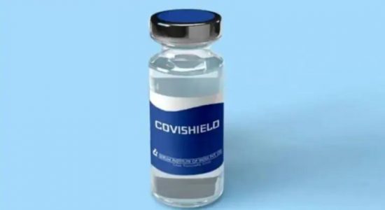 600,000 people will be vaccinated daily