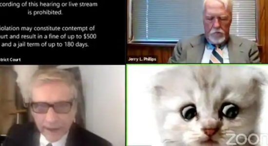 I'm not a cat, lawyer tells judge in Zoom error
