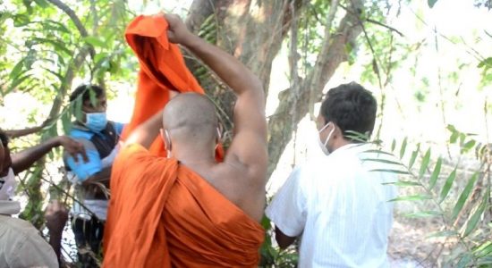 Buddhist Clergy ordain tree to protect it