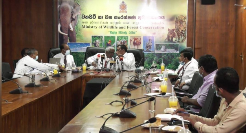 No talks on wewas in Sinharaja; officials claim