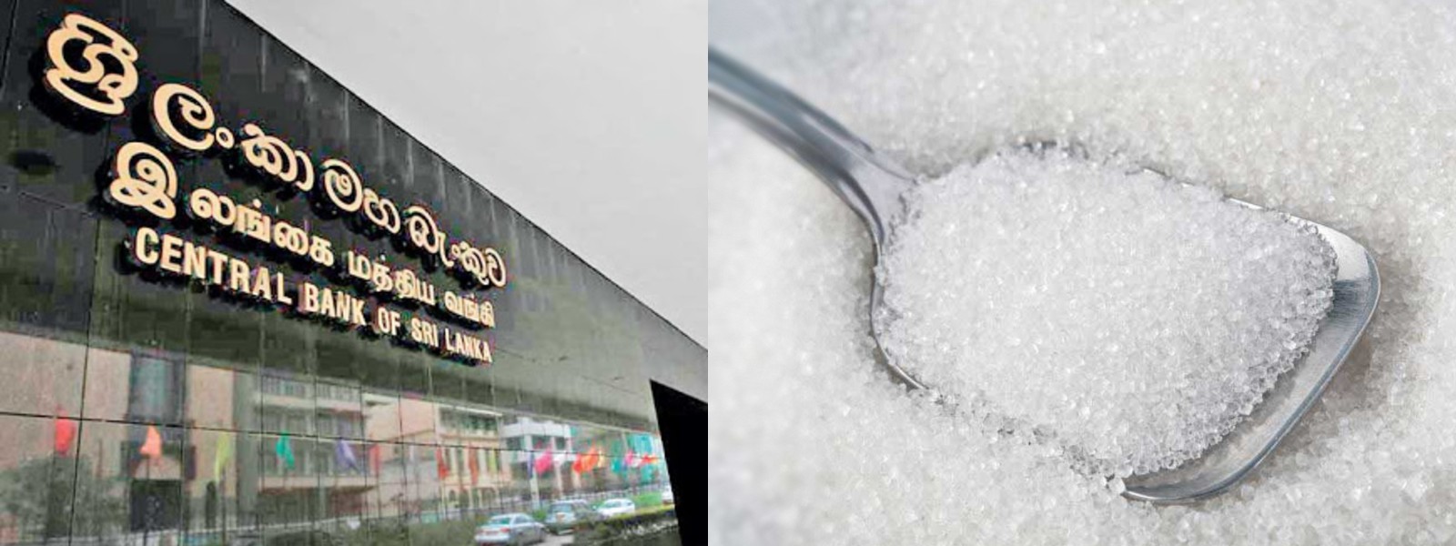 Sugar Scam  vs Bond Scam