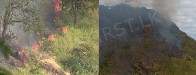 Fire at Ravana Ella forest reserve still continuing