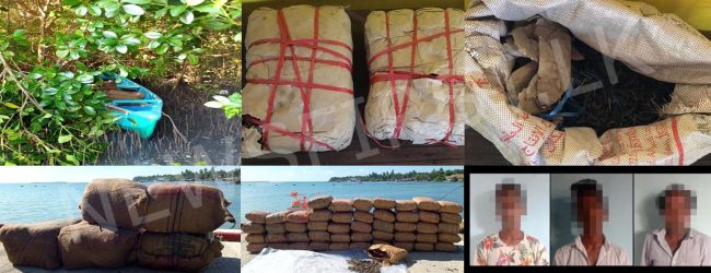 SLN seize over 100kg of Kerala Cannabis in Kalpitiya