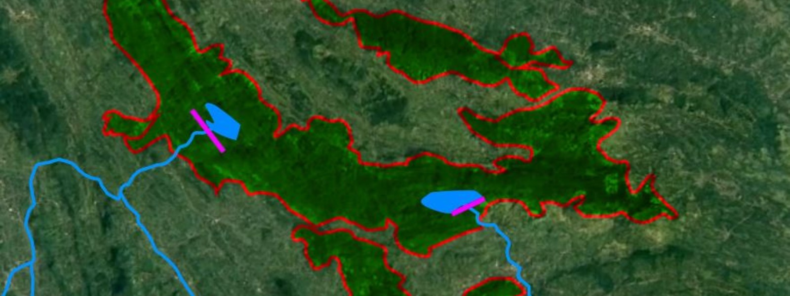 Sinharaja Rainforest losing forest cover ? 