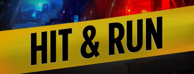 Online programme launched to verify details of NICs