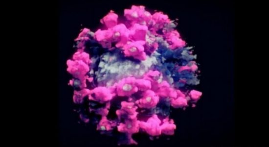 05 COVID-19 deaths on Thursday (04); Fatalities rise to 489