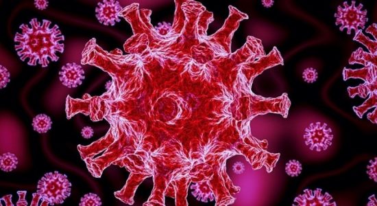 228 COVID infections and 02 fatalities on Friday