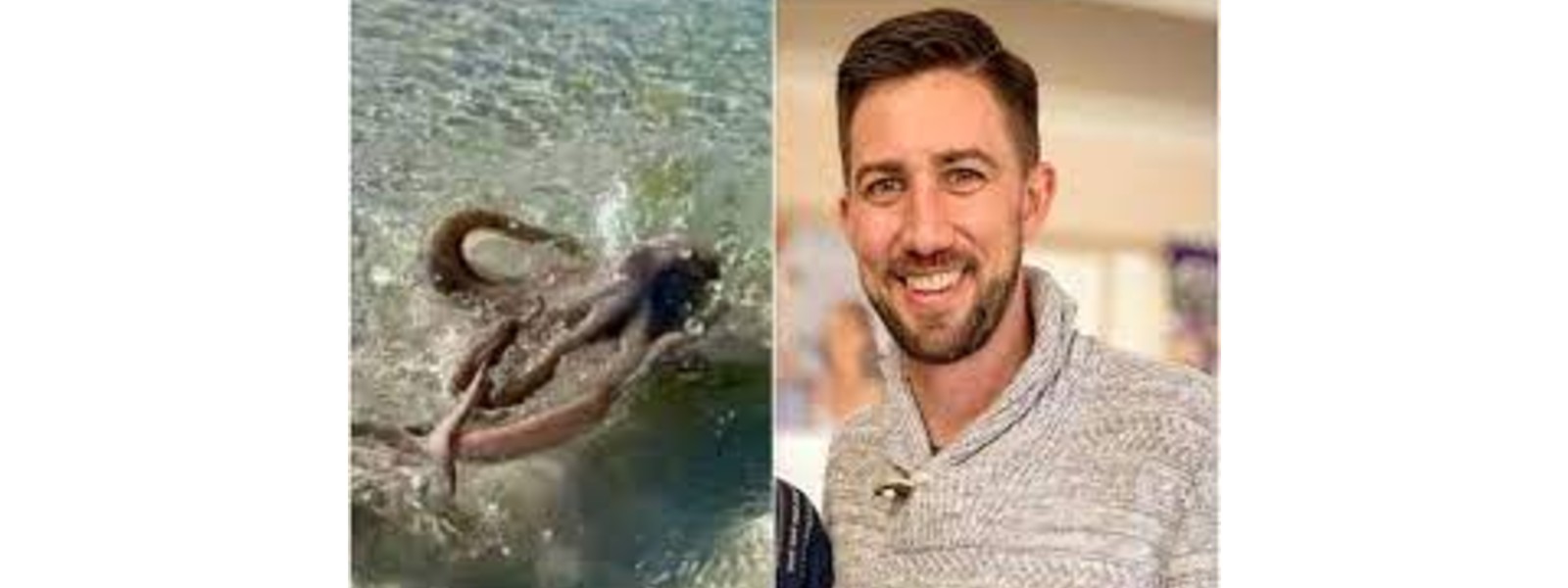 Geologist beaten up by 'angriest octopus' on beach