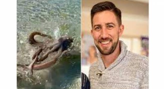 Geologist beaten up by 'angriest octopus' on beach