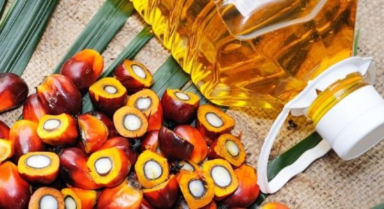 Importing Palm Oil suspended with immediate effect