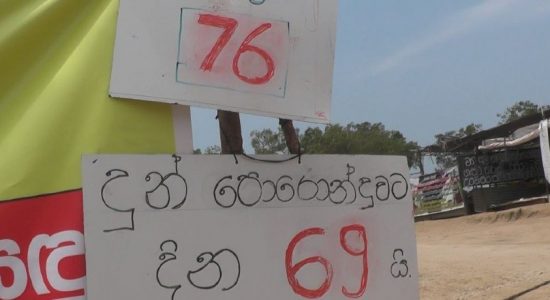 World’s longest protest on Human-Elephant conflict enters 76th day