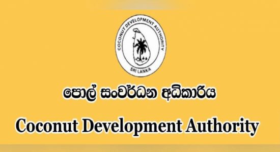 No Carcinogen Aflatoxin in Coconut oil samples