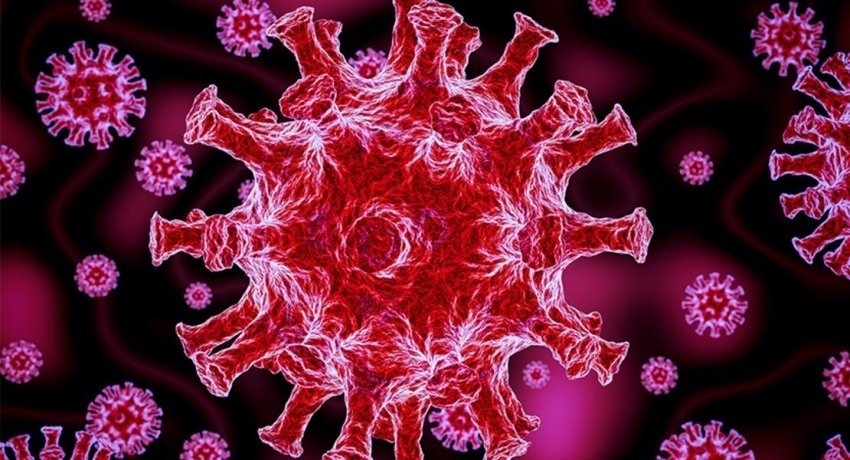 07 COVID-19 fatalities reported in Sri Lanka