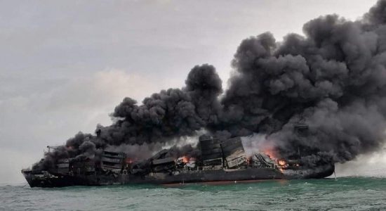 X-PRESS PEARL fire cause for dead marine life