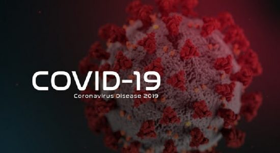 COVID cases detected areas in past 24 hours