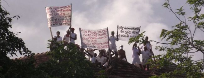 Sri Lanka to suspend Chemical & Organic fertilizer imports