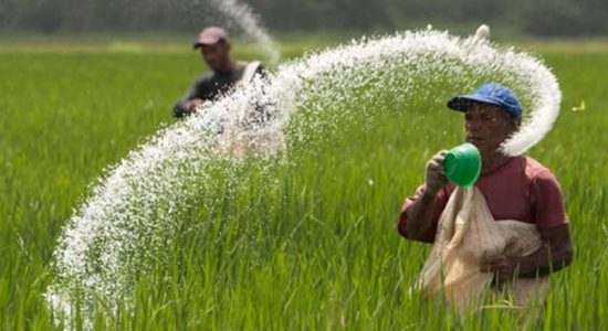 Concerns mount over organic fertilizer imports