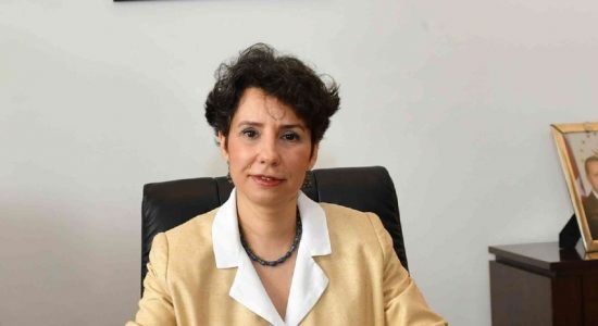 Turkey will support SL against FETO elements