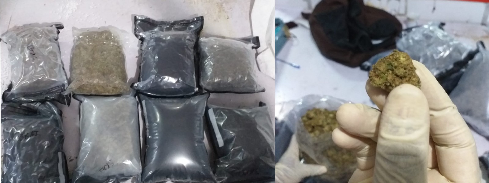 Customs seized Rs. 40 Mn worth Kush drugs sent from USA and Netherlands