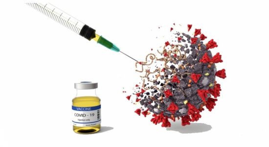 Vaccination program for students traveling abroad