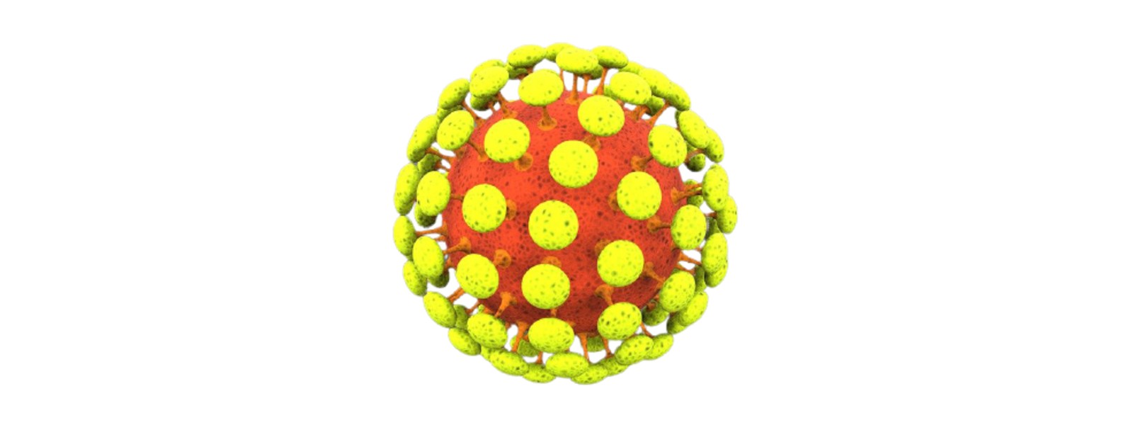 Nanjing: New virus outbreak worst after Wuhan