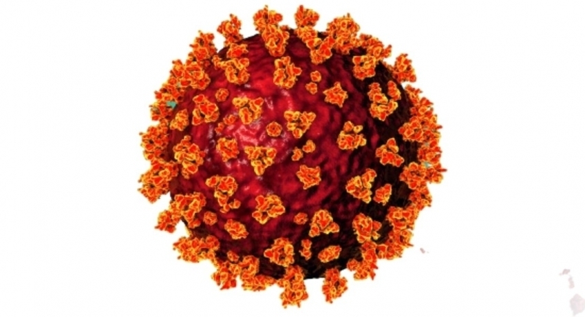 03rd COVID wave claimed 2,893 lives so far in Sri Lanka – NOCPCO