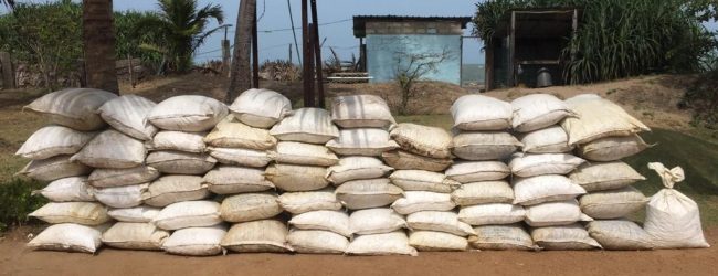 Navy seizes 2360kg of dried turmeric at Vankalai beach